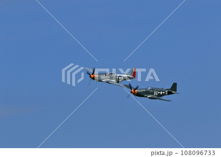 P-51Dマスタングの編隊飛行 P-51Dマスタングの編隊飛行 108096733