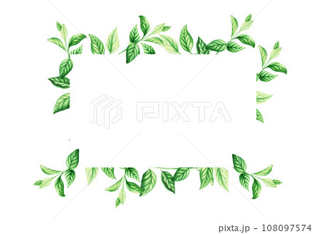 Watercolor frame with fresh peppermint leaves isolated on white background. Detail of the beauty products and botany set, cosmetology and medicine. For designers, spa decoration, postcards, wrapping Watercolor frame with fresh peppermint leaves isolated on white background. Detail of the beauty products and botany set, cosmetology and medicine. For designers, spa decoration, postcards, wrapping 108097574
