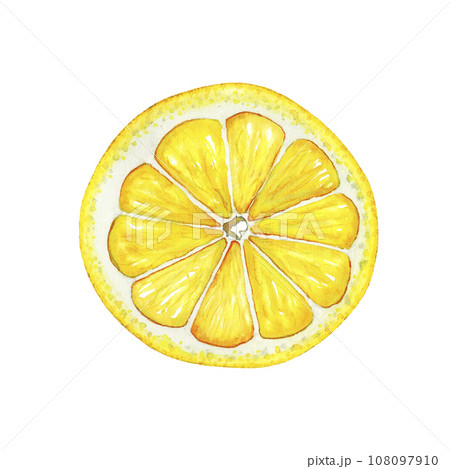 Lemon Rind Drawing How To Draw A Lemon Slice