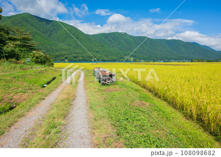 農道と水田【木崎湖畔】 農道と水田【木崎湖畔】 108098682