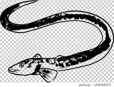 Sumi-e Japanese style illustration of eel 108098972