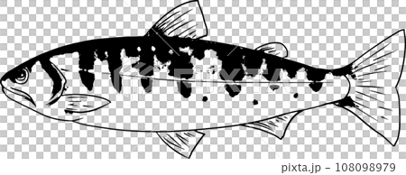 Sumi-e Japanese style illustration of rainbow trout 108098979