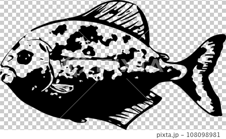 食人魚 sumi-e 日式插畫 108098981