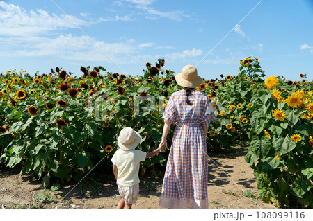 ヒマワリ畑を仲良く手をつないで歩くお母さんとその子ども ヒマワリ畑を仲良く手をつないで歩くお母さんとその子ども 108099116