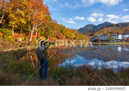 秋晴れの志賀高原　蓮池 108099665