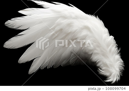 White angel or bird wing on black background 108099704
