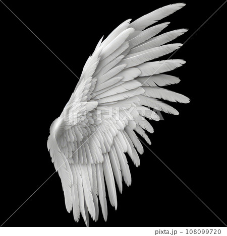 White angel or bird wing on black background 108099720