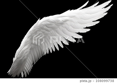White angel or bird wing on black background White angel or bird wing on black background 108099738