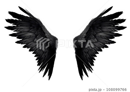 Black bird or angel wings isolated on white background Black bird or angel wings isolated on white background 108099766