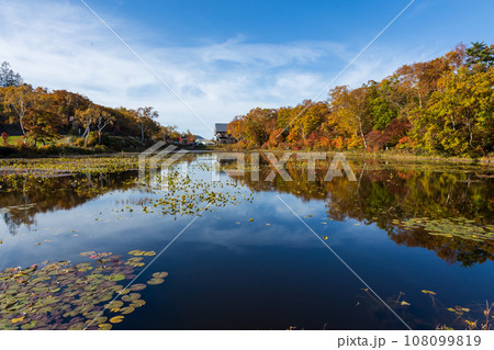 秋晴れの志賀高原 蓮池の水鏡 秋晴れの志賀高原 蓮池の水鏡 108099819