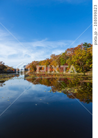 秋晴れの志賀高原 蓮池の水鏡 秋晴れの志賀高原 蓮池の水鏡 108099823