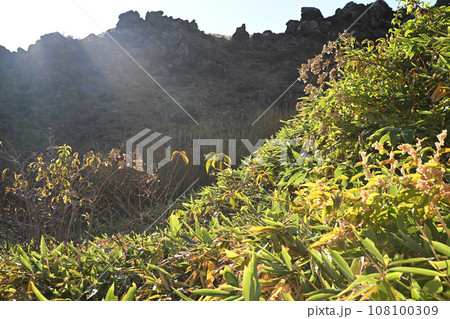 草津　殺生河原　青葉山ゲレンデ付近　秋の季節　　　　 108100309