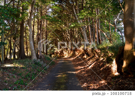 鉾田市・厳島神社 #3 鉾田市・厳島神社 #3 108100718