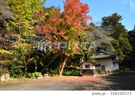 鉾田市・厳島神社 #7 鉾田市・厳島神社 #7 108100723