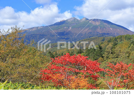 秋の野麦峠から望む乗鞍岳 秋の野麦峠から望む乗鞍岳 108101075