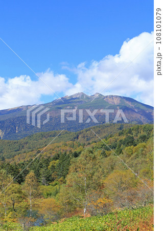 秋の野麦峠から望む乗鞍岳 108101079