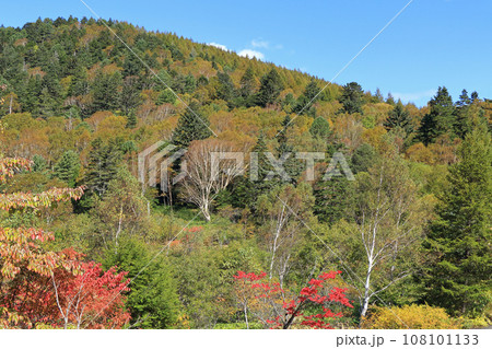 秋の野麦峠 108101133