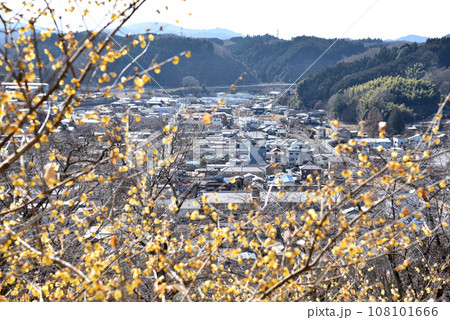 蝋梅と田舎町 蝋梅と田舎町 108101666