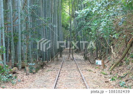 旧国鉄倉吉線跡　1 108102439