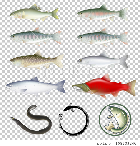 Delicious river fish set Delicious river fish set 108103246