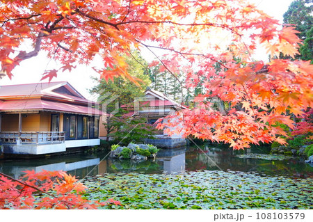 北海道の風景 秋の梅村庭園紅葉 108103579
