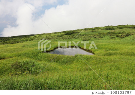 月山弥陀ヶ原湿原 月山弥陀ヶ原湿原 108103797