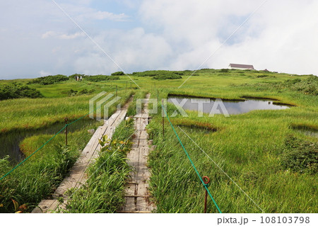 月山弥陀ヶ原湿原 月山弥陀ヶ原湿原 108103798