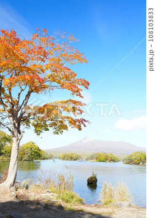 北海道の絶景 秋の函館大沼公園の紅葉風景 北海道の絶景 秋の函館大沼公園の紅葉風景 108103833