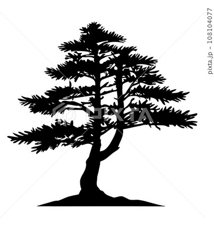 Pine tree silhouette isolated on white background. Vector Illustration Pine tree silhouette isolated on white background. Vector Illustration 108104077