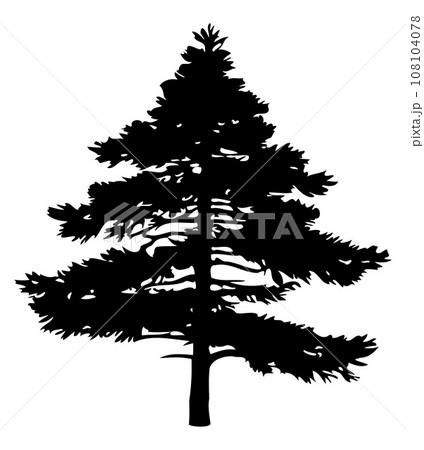 Pine tree silhouette isolated on white background. Vector Illustration 108104078
