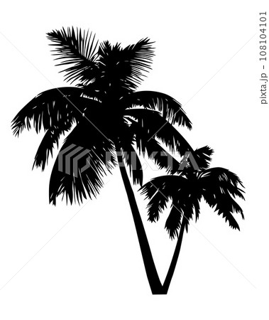 Palm tree silhouette isolated on white background. Vector Illustration 108104101
