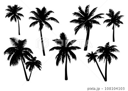 Set of palm trees silhouette isolated on white background. Vector Illustration. 108104103