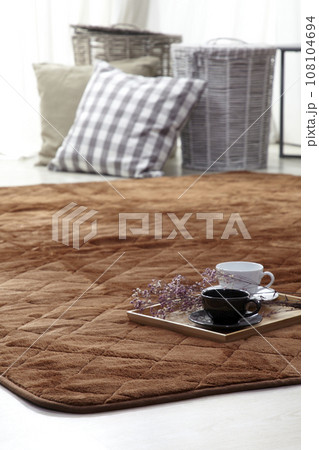 sofa in living room 108104694