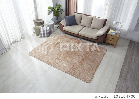 sofa in living room 108104700