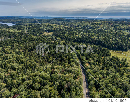View on the Forest near lake in La Mauricie National Park Quebec, Canada on a beautiful day 108104803