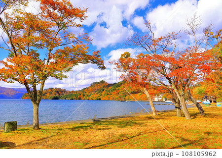 十和田湖畔の鮮やかな紅葉と晩秋の十和田湖 十和田湖畔の鮮やかな紅葉と晩秋の十和田湖 108105962