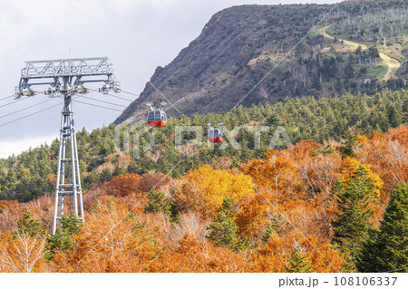 秋の山形蔵王 百万人テラスから見た蔵王ロープウェイ山頂線 山形県山形市 秋の山形蔵王 百万人テラスから見た蔵王ロープウェイ山頂線 山形県山形市 108106337