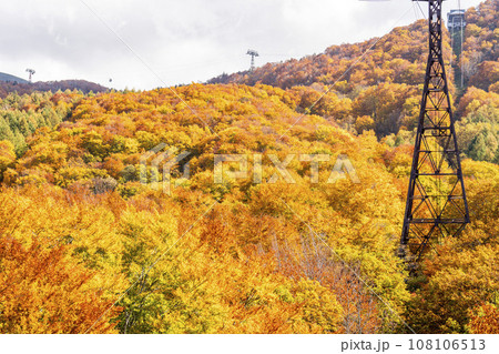 秋の山形蔵王 紅葉した蔵王連峰の風景 山形県山形市 秋の山形蔵王 紅葉した蔵王連峰の風景 山形県山形市 108106513