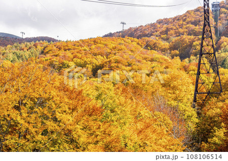 秋の山形蔵王　紅葉した蔵王連峰の風景　山形県山形市 108106514