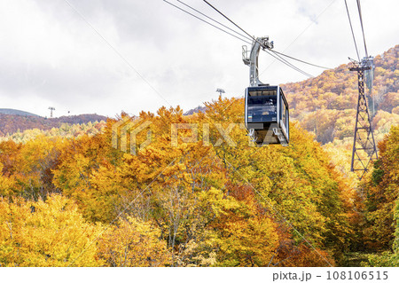 秋の山形蔵王　紅葉した山並と蔵王ロープウェイ山麓線　山形県山形市 108106515