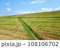 ショートカット 108106702