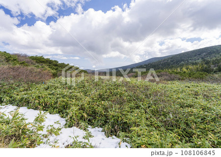 秋の山形蔵王 蔵王ロープウェイ地蔵山頂駅前(山頂)の風景 ささやぶ 山形県山形市 秋の山形蔵王 蔵王ロープウェイ地蔵山頂駅前(山頂)の風景 ささやぶ 山形県山形市 108106845