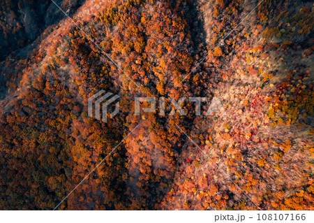 奥日光の紅葉「半月山」 奥日光の紅葉「半月山」 108107166