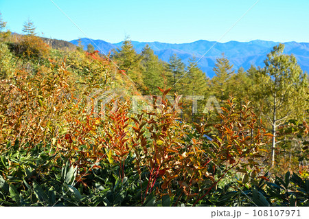 志賀草津高原ルート 殺生河原付近からの眺め 山並の風景 志賀草津高原ルート 殺生河原付近からの眺め 山並の風景 108107971