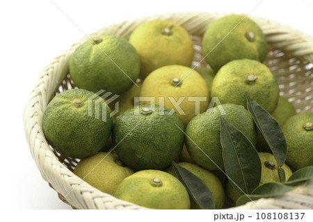 まだ青さが残る柚子 青い柚子 ゆず （ 白バック ） 108108137