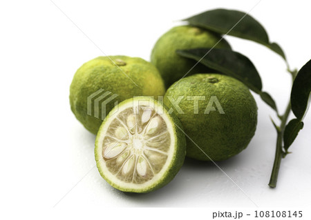 まだ青さが残る柚子 青い柚子 ゆず （ 白バック ） 108108145