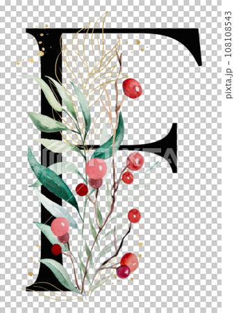 Black letter F with watercolor twigs with green and golden leaves and red berries, Christmas isolated Illustration Black letter F with watercolor twigs with green and golden leaves and red berries, Christmas isolated Illustration 108108543