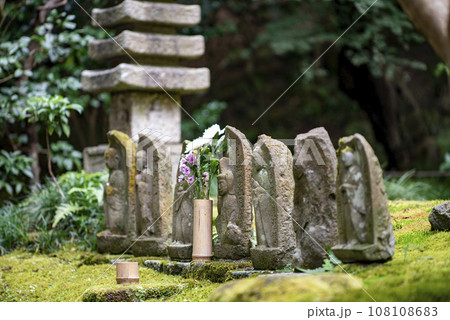 鎌倉10月　報国寺5 108108683
