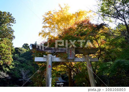 鉾田市・厳島神社 #19 鉾田市・厳島神社 #19 108108803