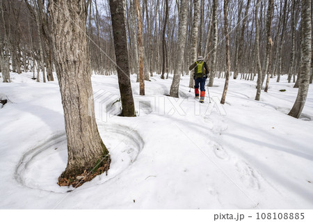 スノーシュートレッキングのイメージ 奥大山 スノーシュートレッキングのイメージ 奥大山 108108885